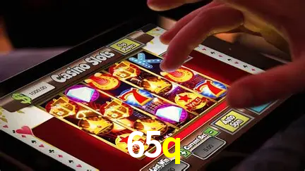 65q login