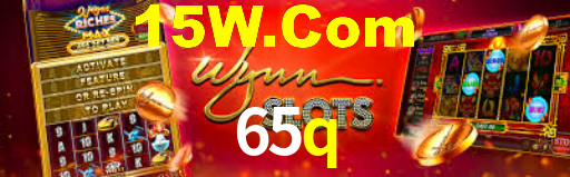65q.com